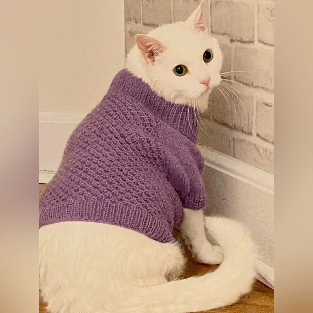 Purple Cat sweater